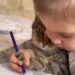 Cat Colouring Viral Video: Cat Colouring Book With Girl Looks Irritated Cute Cat Viral Video