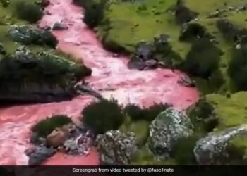 Old Video Showing Perus Red River Amazes Internet: Red River In Peru Has Gone Viral Online After It Stunned Viewers