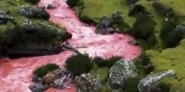 Old Video Showing Perus Red River Amazes Internet: Red River In Peru Has Gone Viral Online After It Stunned Viewers