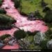 Old Video Showing Perus Red River Amazes Internet: Red River In Peru Has Gone Viral Online After It Stunned Viewers