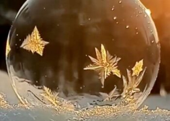 Ever Seen A Bubble Turning Into Ice? Very Beautiful, See Viral Video On Social Media