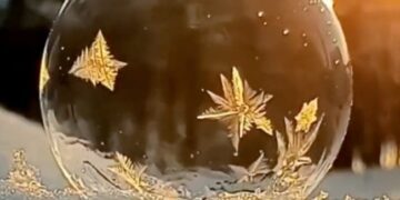 Ever Seen A Bubble Turning Into Ice? Very Beautiful, See Viral Video On Social Media