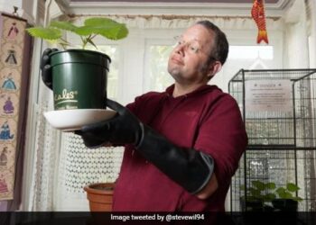 Worlds Most Dangerous Plant: British Grows World Most Dangerous Plant That So Painful It Can Make You Suicidal