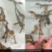 Baby Crocodiles Sounds Like They Are Shooting Laser Guns Will Simply Melt Your Heart Watch Viral Video