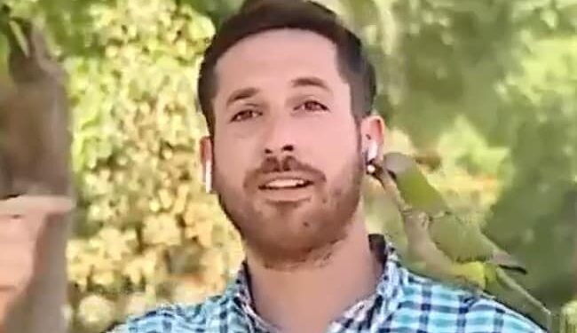 चोरी की रिपोर्टिंग कर रहा था रिपोर्टर, तभी तोता आया और उसका एक ईयरफोन चुरा कर भाग गया