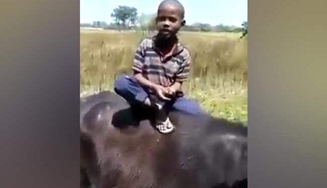 A Small Child Is Singing Mujhse Shaadi Karogi, Sitting Comfortably On A Buffalo, The Video Is Going Viral – भैंस पर आराम से बैठकर छोटा बच्चा गा रहा है