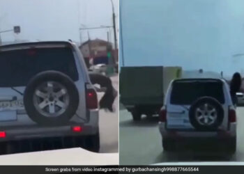 Girl Nagin Dance By Hanging Out From The Window Of Moving Car Then This Happened Papa Ki Pari Video Viral – कार की खिड़की से लटककर नागिन डांस कर रही थी लड़की, फिर जो हुआ, लोग बोले