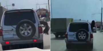 Girl Nagin Dance By Hanging Out From The Window Of Moving Car Then This Happened Papa Ki Pari Video Viral – कार की खिड़की से लटककर नागिन डांस कर रही थी लड़की, फिर जो हुआ, लोग बोले