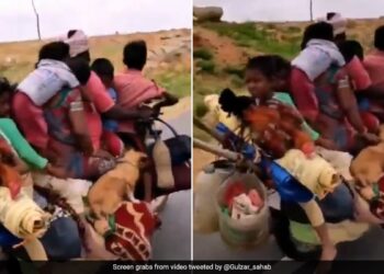 Man Riding A Bike With 6 People 2 Dogs And 2 Chickens Internet Is Speechless See Viral Video – बाइक पर सवार थे 6 लोग, 2 कुत्ते और 2 मुर्गियां, लोग बोले