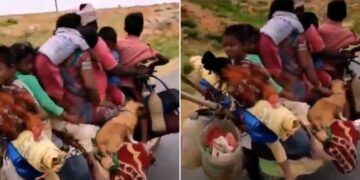 Man Riding A Bike With 6 People 2 Dogs And 2 Chickens Internet Is Speechless See Viral Video – बाइक पर सवार थे 6 लोग, 2 कुत्ते और 2 मुर्गियां, लोग बोले