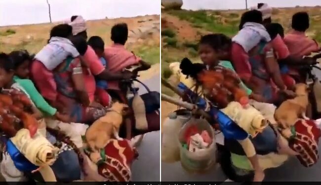 Man Riding A Bike With 6 People 2 Dogs And 2 Chickens Internet Is Speechless See Viral Video – बाइक पर सवार थे 6 लोग, 2 कुत्ते और 2 मुर्गियां, लोग बोले