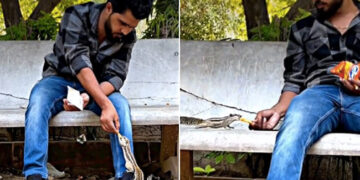 Man Feeds Kurkure To Squirrels Internet Loves It See Viral Video