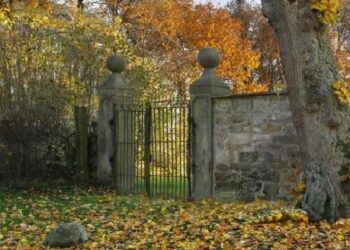 तस्वीर में छिपी है एक लड़की, लोगों को पता ही नहीं है कि वो कहां है? आप खोज कर बता दीजिए