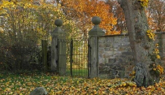 तस्वीर में छिपी है एक लड़की, लोगों को पता ही नहीं है कि वो कहां है? आप खोज कर बता दीजिए