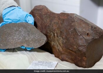 Mystery Rock Discovered While Searching For Gold Ends Up Being Much More Valuable – सोने की तलाश में मिला रहस्यमयी पत्थर…निकला कहीं ज़्यादा बेशकीमती और विरला