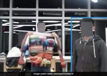 This Invisibility Cloak Will Hide You From AI Cameras In Real Life – ये कपड़ा सच करेगा जादुई कहानियां, पहन कर हो जाएंगे AI कैमरे से ग़ायब!