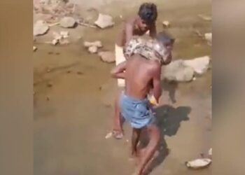 The Drunken Caught The Dragon Thinking Of A Fish, The Snake Grabbed His Neck, Watch The Creepy Video
