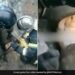 Man Stuck In Sewer Pipeline Had To Do Such Work To Get Out Him Shocking Video Viral
