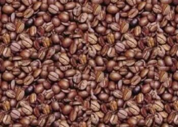 Find The Mans Face Hidden In The Coffee Beans: Can You Spot A Face In These Coffee Beans Quiz In Hindi