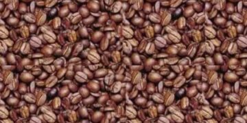 Find The Mans Face Hidden In The Coffee Beans: Can You Spot A Face In These Coffee Beans Quiz In Hindi