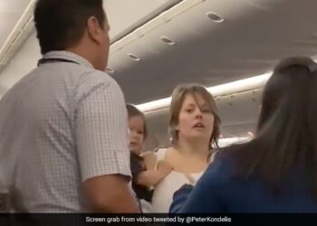 Passenger Assaulting Flight Attendant Clash At United Airlines See Viral Video