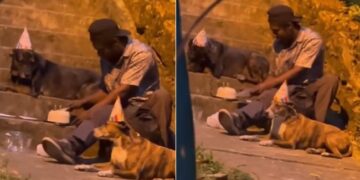Homeless Man Celebrates Dogs Birthday Internet Gets Emotional To See This Old Viral Video