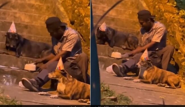 Homeless Man Celebrates Dogs Birthday Internet Gets Emotional To See This Old Viral Video