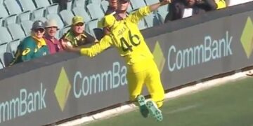 Australias Cricketer Took A Brilliant Catch, People Said- All The Principles Of Physics Have Been Broken – ऑस्ट्रेलिया के क्रिकेटर ने लिया शानदार कैच, लोगों ने कहा
