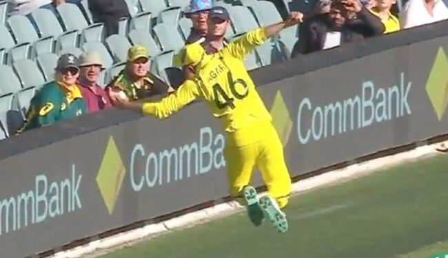 Australias Cricketer Took A Brilliant Catch, People Said- All The Principles Of Physics Have Been Broken – ऑस्ट्रेलिया के क्रिकेटर ने लिया शानदार कैच, लोगों ने कहा