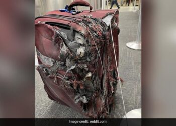 This Image Of A Chewed Up Suitcase Leaves Travellers Fearing For Their Luggage See Viral Post