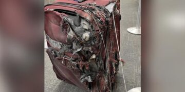 This Image Of A Chewed Up Suitcase Leaves Travellers Fearing For Their Luggage See Viral Post