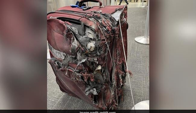 This Image Of A Chewed Up Suitcase Leaves Travellers Fearing For Their Luggage See Viral Post