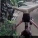 Viral Video: Man Climbs Staircase While Holding Another Man On His Head