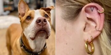 Trending Dog Video: Womans Tattoo Tribute To Late Pet Dog Is Making Internet Emotional
