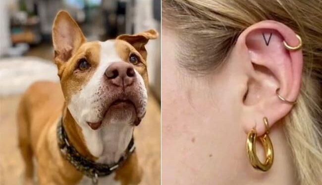 Trending Dog Video: Womans Tattoo Tribute To Late Pet Dog Is Making Internet Emotional