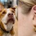 Trending Dog Video: Womans Tattoo Tribute To Late Pet Dog Is Making Internet Emotional