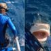 Tiger Shark Tries To Attack Diver In Scary Viral Video | Shark Comes Close To Lady Diver Shocking Video Viral
