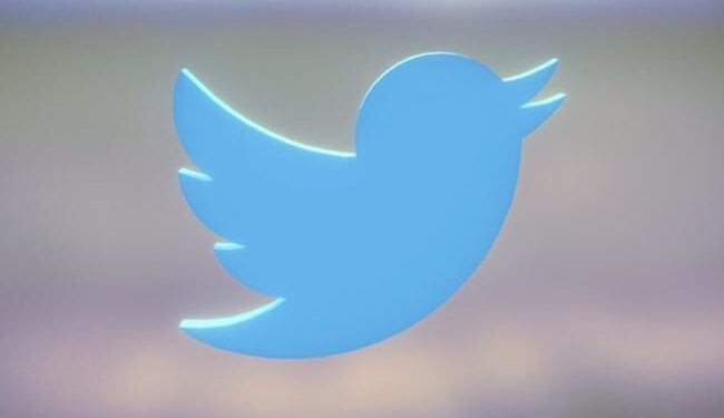 What Is The Name Of The Blue Bird You See On Twitter? Know The Whole Truth