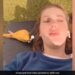 Bird Steals AirPod From Woman Ear Flies Away Refuses To Return It Internet Reacts See Viral Video
