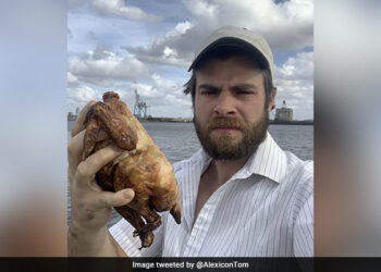 Man Eats 40 Chickens For 40 Consecutive Days In US Internet Stuns