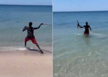 Fishing Viral Video: A Man Hunting A Fish By Throwing A Spear In A Strange Way