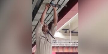 Police Viral Video: Policeman Saved The Life Of A Pigeon Trapped In A Wire Video Viral On Social Media