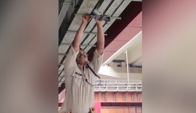 Police Viral Video: Policeman Saved The Life Of A Pigeon Trapped In A Wire Video Viral On Social Media