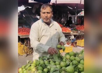 Viral Funny Video: A Fruit Seller Unique Style Of Selling Fruits Video Viral On Internet