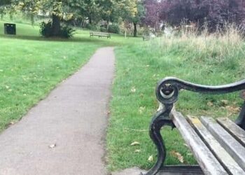 A Dog Is Hidden In This Park, Whose Address Is Not Known, The Finders Are Called Genius