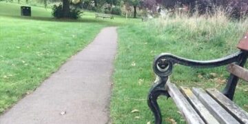 A Dog Is Hidden In This Park, Whose Address Is Not Known, The Finders Are Called Genius