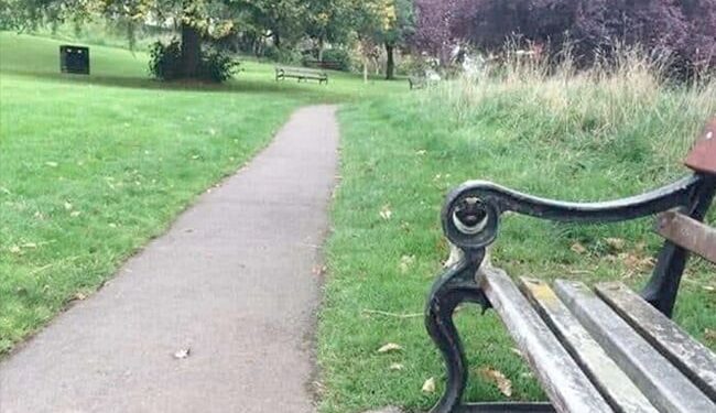 A Dog Is Hidden In This Park, Whose Address Is Not Known, The Finders Are Called Genius