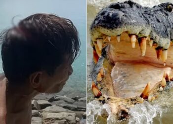 Heart Wrenching Visuals: Baby Boy Eaten Alive By Crocodile In Front Of Father During Fishing In Malaysia