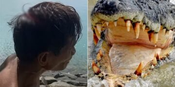 Heart Wrenching Visuals: Baby Boy Eaten Alive By Crocodile In Front Of Father During Fishing In Malaysia