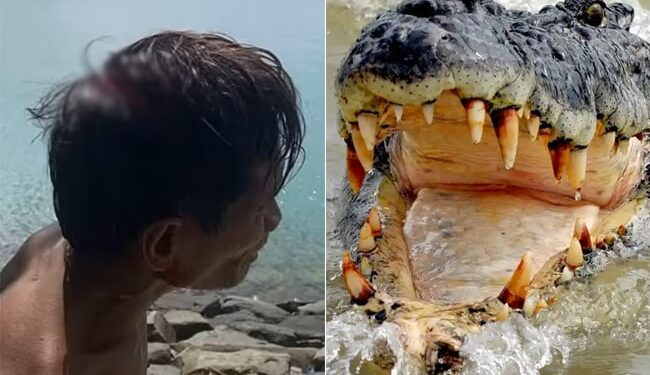 Heart Wrenching Visuals: Baby Boy Eaten Alive By Crocodile In Front Of Father During Fishing In Malaysia